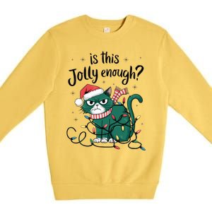 Funny Cat Christmas Ornats Matching Costume Gift Premium Crewneck Sweatshirt