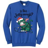 Funny Cat Christmas Ornats Matching Costume Gift Tall Sweatshirt