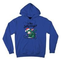 Funny Cat Christmas Ornats Matching Costume Gift Tall Hoodie