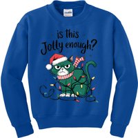 Funny Cat Christmas Ornats Matching Costume Gift Kids Sweatshirt