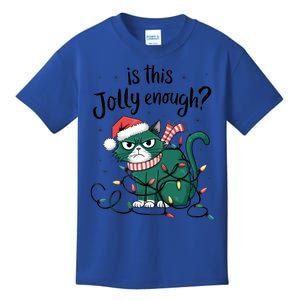 Funny Cat Christmas Ornats Matching Costume Gift Kids T-Shirt