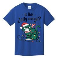 Funny Cat Christmas Ornats Matching Costume Gift Kids T-Shirt