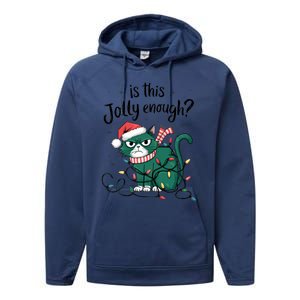 Funny Cat Christmas Ornats Matching Costume Gift Performance Fleece Hoodie