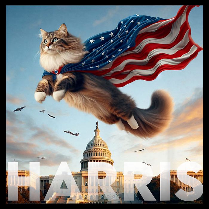 Funny Childless Cat Ladies For Harris 2024 Backpack