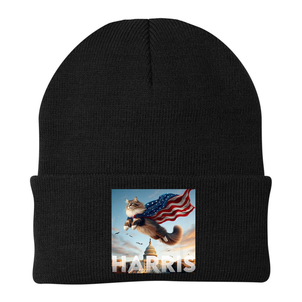 Funny Childless Cat Ladies For Harris 2024 Beanie