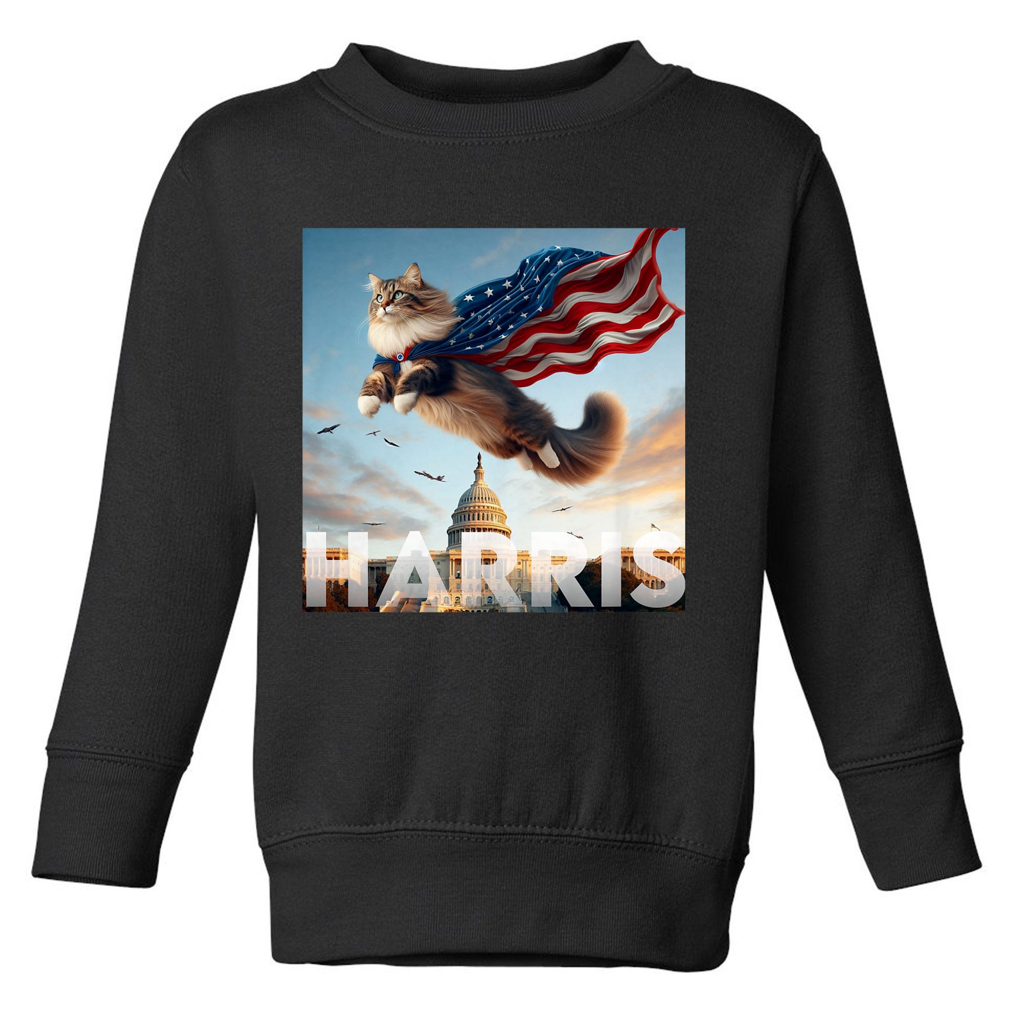 Funny Childless Cat Ladies For Harris 2024 Toddler Sweatshirt