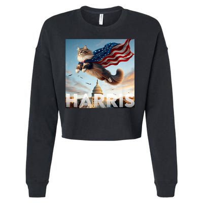 Funny Childless Cat Ladies For Harris 2024 Cropped Pullover Crew