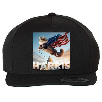 Funny Childless Cat Ladies For Harris 2024 Wool Snapback Cap