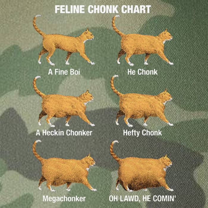 Feline Chonk Cat Chart Funny Dank Meme Oh Lawd He Comin Legacy Tie Dye Trucker Hat