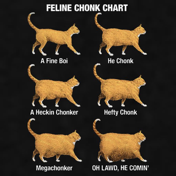 Feline Chonk Cat Chart Funny Dank Meme Oh Lawd He Comin Ladies PosiCharge Tri-Blend Wicking Tank