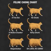 Feline Chonk Cat Chart Funny Dank Meme Oh Lawd He Comin Beanie