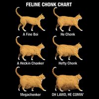 Feline Chonk Cat Chart Funny Dank Meme Oh Lawd He Comin 16 in Basic Backpack