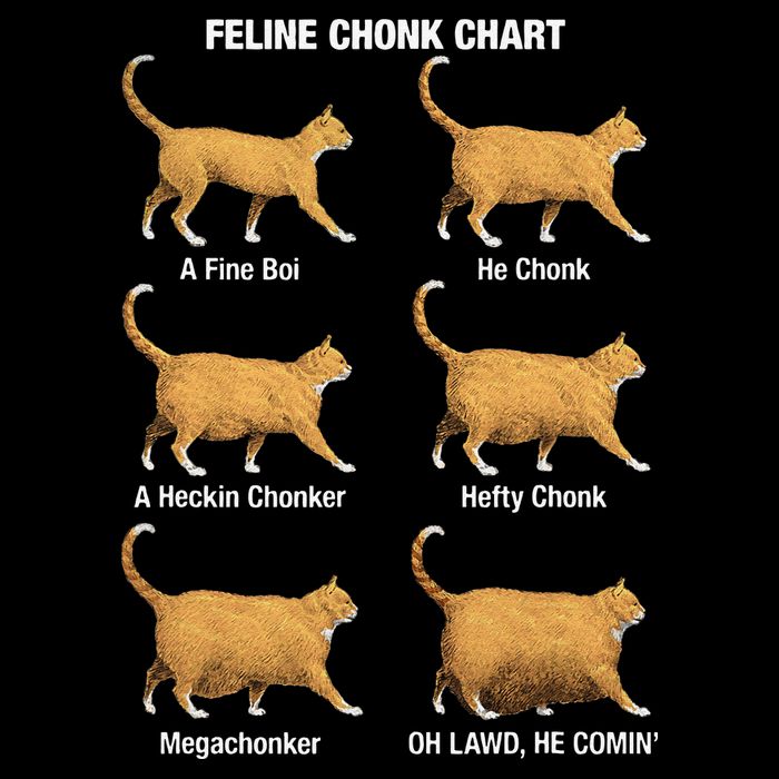Feline Chonk Cat Chart Funny Dank Meme Oh Lawd He Comin 16 in Basic Backpack