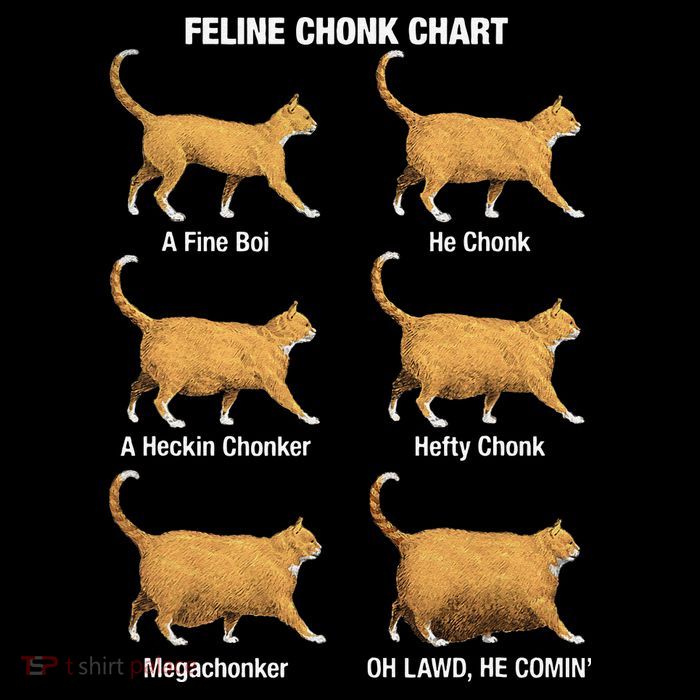 Feline Chonk Cat Chart Funny Dank Meme Oh Lawd He Comin Mesh Reversible Basketball Jersey Tank