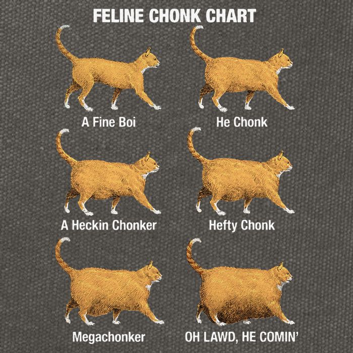 Feline Chonk Cat Chart Funny Dank Meme Oh Lawd He Comin Cotton Canvas Backpack