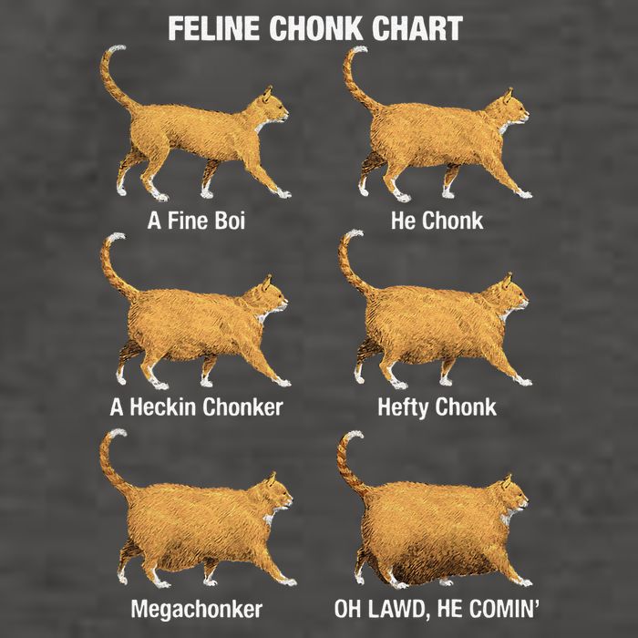 Feline Chonk Cat Chart Funny Dank Meme Oh Lawd He Comin Vector Backpack