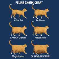 Feline Chonk Cat Chart Funny Dank Meme Oh Lawd He Comin Infant Baby Jersey Bodysuit