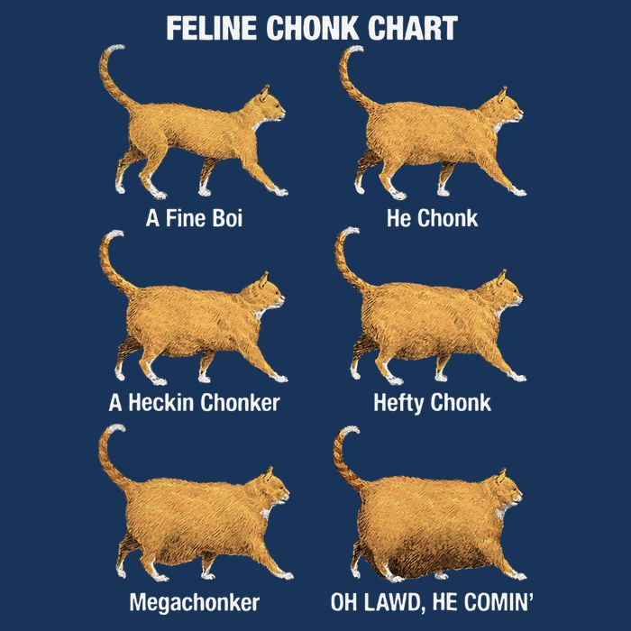 Feline Chonk Cat Chart Funny Dank Meme Oh Lawd He Comin Infant Baby Jersey Bodysuit