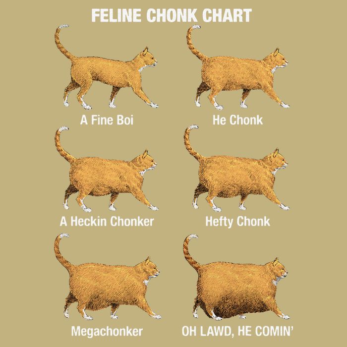 Feline Chonk Cat Chart Funny Dank Meme Oh Lawd He Comin Button