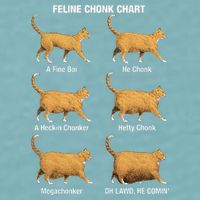 Feline Chonk Cat Chart Funny Dank Meme Oh Lawd He Comin Sueded Cloud Jersey T-Shirt