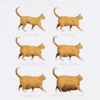 Feline Chonk Cat Chart Funny Dank Meme Oh Lawd He Comin Garment-Dyed Sweatshirt