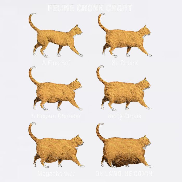 Feline Chonk Cat Chart Funny Dank Meme Oh Lawd He Comin Garment-Dyed Sweatshirt