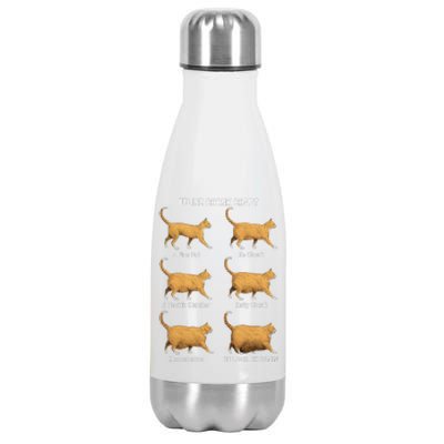 Feline Chonk Cat Chart Funny Dank Meme Oh Lawd He Comin Stainless Steel Insulated Water Bottle