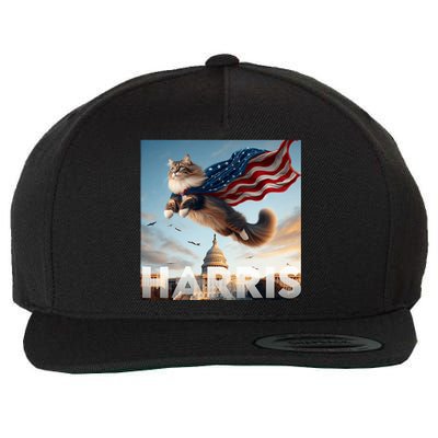 Funny Childless Cat Ladies For Harris 2024 Wool Snapback Cap