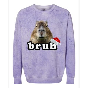 Funny Capybara Christmas Colorblast Crewneck Sweatshirt