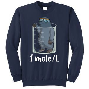 Funny Chemistry Chemist Student Science Teacher Moles Women Sweatshirt