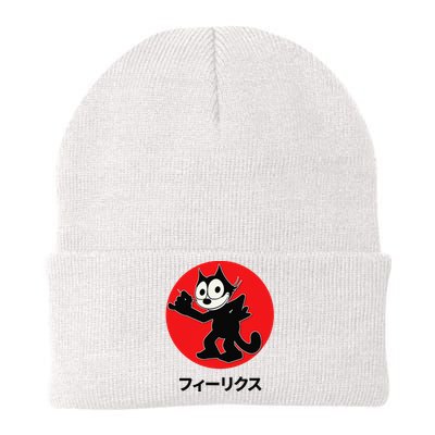 Felix Cartoon Cat Retro Cool Katakana Japanese Writing Knit Cap Winter Beanie