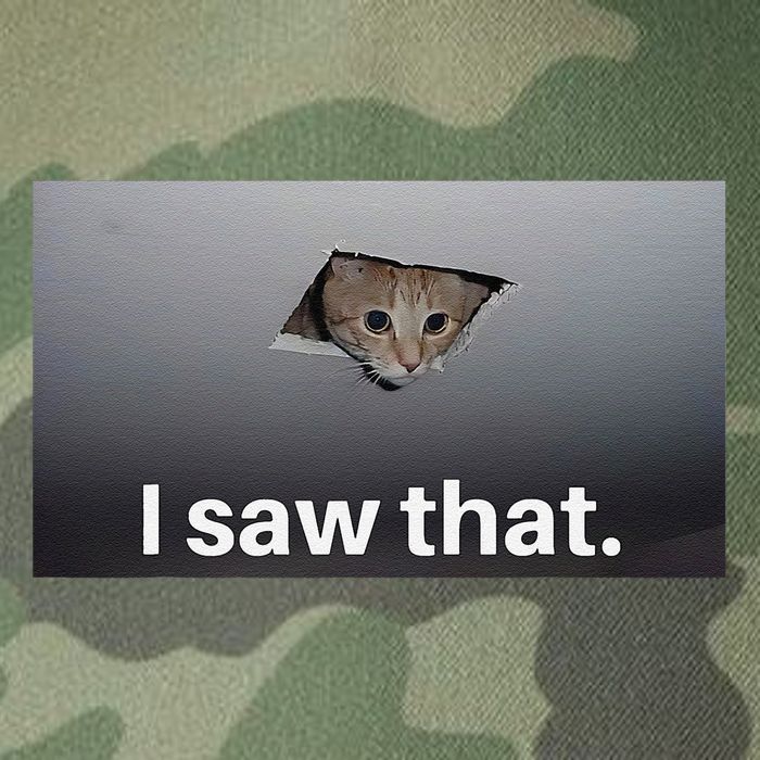 Funny Ceiling Cat I Saw That Judging Cat Watching You Meme Legacy Tie Dye Trucker Hat