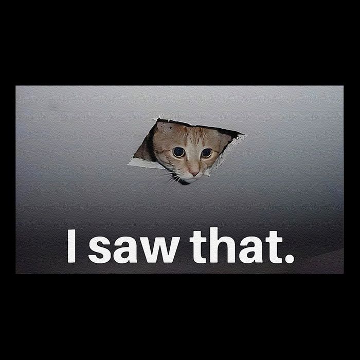 Funny Ceiling Cat I Saw That Judging Cat Watching You Meme Bucket Hat