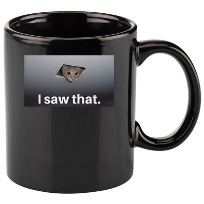 Funny Ceiling Cat I Saw That Judging Cat Watching You Meme 11oz C Handle Ceramic Mug