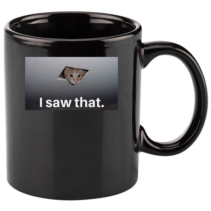 Funny Ceiling Cat I Saw That Judging Cat Watching You Meme 11oz C Handle Ceramic Mug