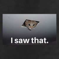Funny Ceiling Cat I Saw That Judging Cat Watching You Meme Beanie