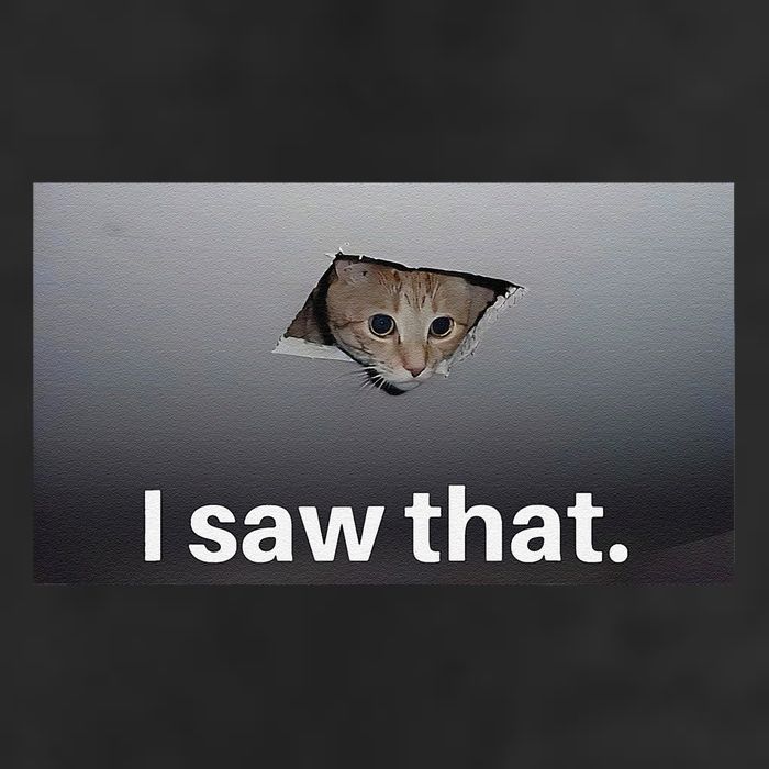 Funny Ceiling Cat I Saw That Judging Cat Watching You Meme Beanie