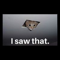 Funny Ceiling Cat I Saw That Judging Cat Watching You Meme Baby Bodysuit