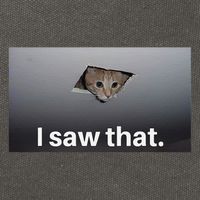 Funny Ceiling Cat I Saw That Judging Cat Watching You Meme Cotton Canvas Backpack
