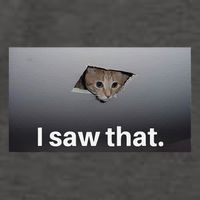 Funny Ceiling Cat I Saw That Judging Cat Watching You Meme Vector Backpack