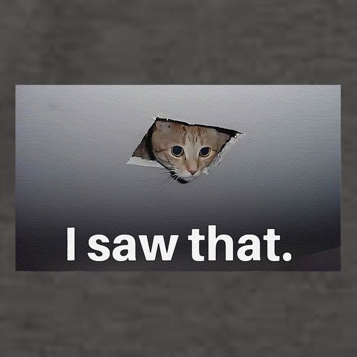Funny Ceiling Cat I Saw That Judging Cat Watching You Meme Vector Backpack