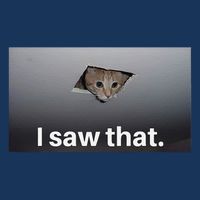Funny Ceiling Cat I Saw That Judging Cat Watching You Meme Infant Baby Jersey Bodysuit