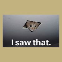 Funny Ceiling Cat I Saw That Judging Cat Watching You Meme Magnet