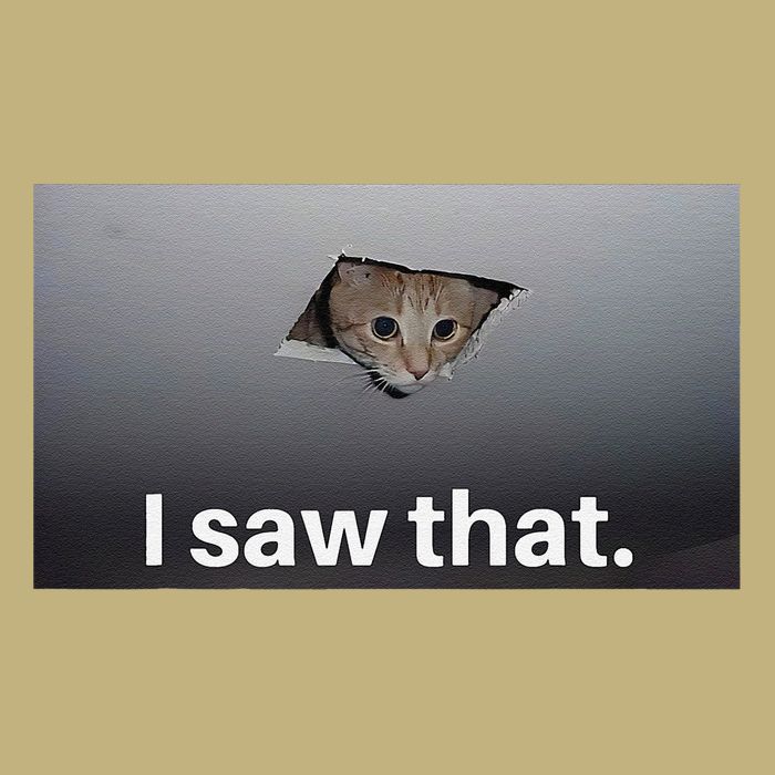 Funny Ceiling Cat I Saw That Judging Cat Watching You Meme Magnet