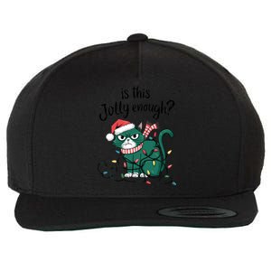 Funny Cat Christmas Ornats Matching Costume Gift Wool Snapback Cap