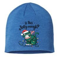 Funny Cat Christmas Ornats Matching Costume Gift Sustainable Beanie