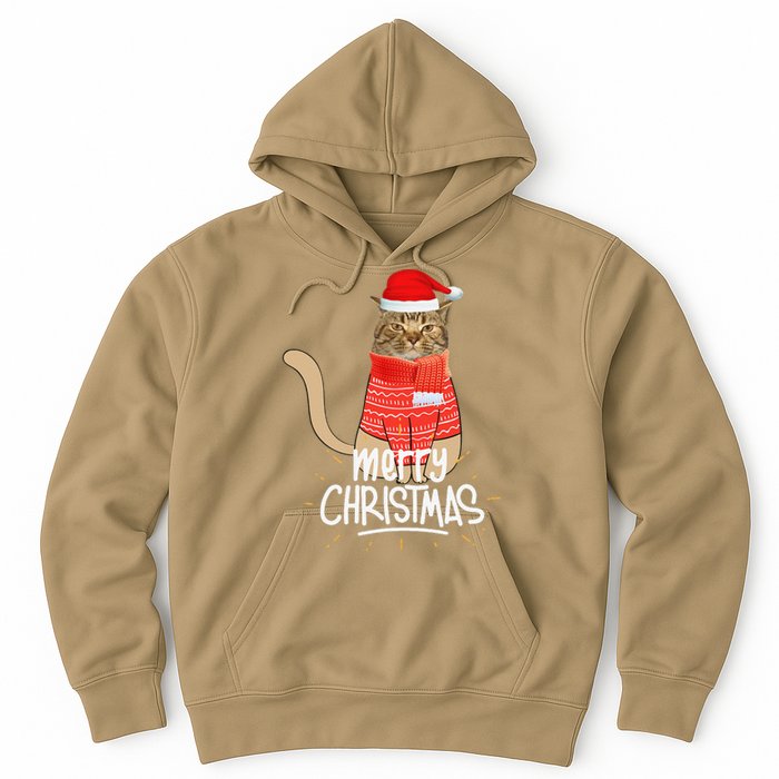 Funny Christmas Cat For Cat Lovers Santa Hat Merry Christmas Hoodie