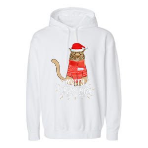 Funny Christmas Cat For Cat Lovers Santa Hat Merry Christmas Garment-Dyed Fleece Hoodie