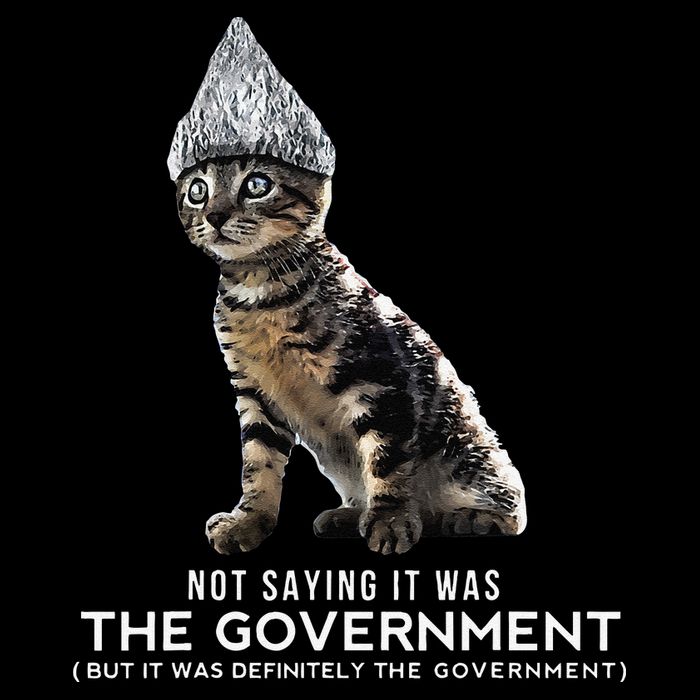 Funny Conspiracy Cat Tin Foil Hat Government Gift Tall T-Shirt