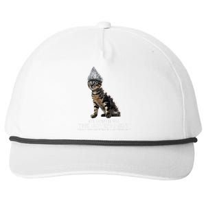 Funny Conspiracy Cat Tin Foil Hat Government Gift Snapback Five-Panel Rope Hat